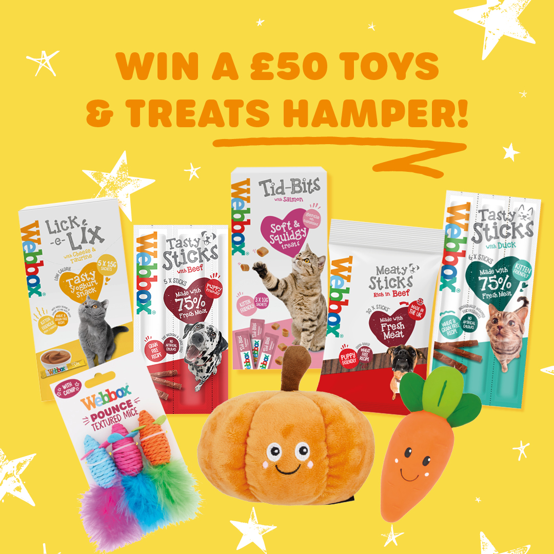 🐱 GIVEAWAY 🐶

To be in with the chance of winning a £50 hamper of Webbox Treats &amp; Toys all you have to do is:

🐾 Like and share this post
🐾 Tag your bestie
🐾 Make sure you are following us

The competition ends 23rd October. UK entries only. T&amp;Cs apply.