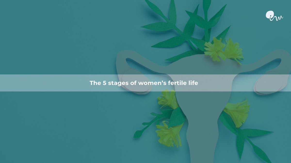 Women’s #fertile life lasts less than 30 years, and these are the three decades during which women can become mothers. From 14 years old, most women have started to ovulate and, after 42, the biological possibilities to conceive naturally fall drastically institutomarques.com/en/news/news-2…