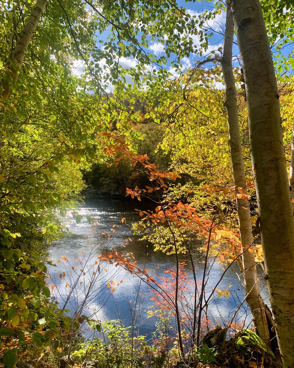 BolandC's tweet image. Happy Monday. I hope you have a wonderful day. #CornerBrook #NewfoundlandandLabrador #MondayMotivaton #ShareYourWeather #Nlwx #AutumnVibes
