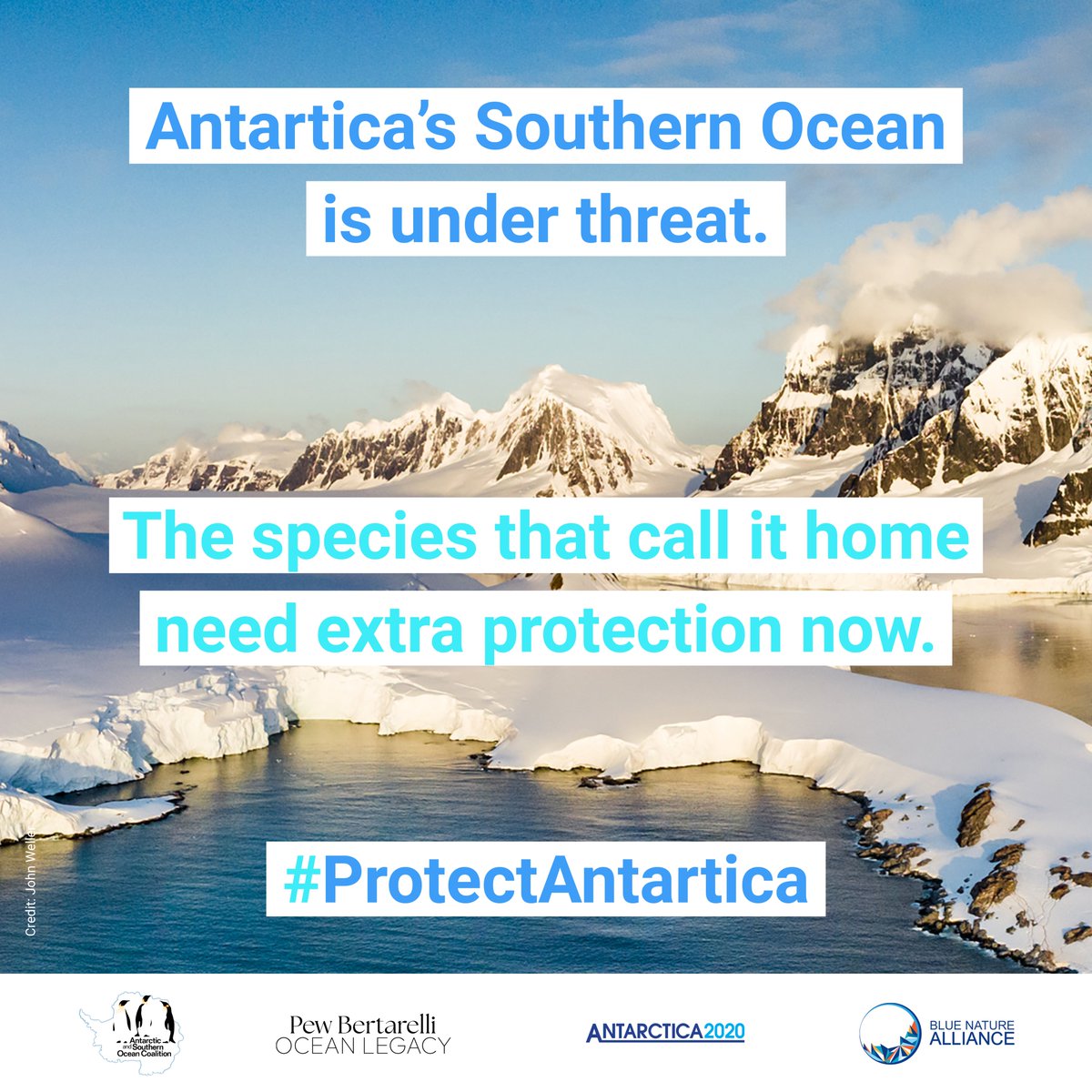 🗓️#CCAMLR42 officials are gathering in #Hobart from 16-27 of October to discuss the protection of Antarctica’s #SouthernOcean. For the second time this year that #CCAMLR has an opportunity to progress the adoption of large-scale #MPAs 🇦🇶 #PBOL #PewBertarelliOceanLegacy