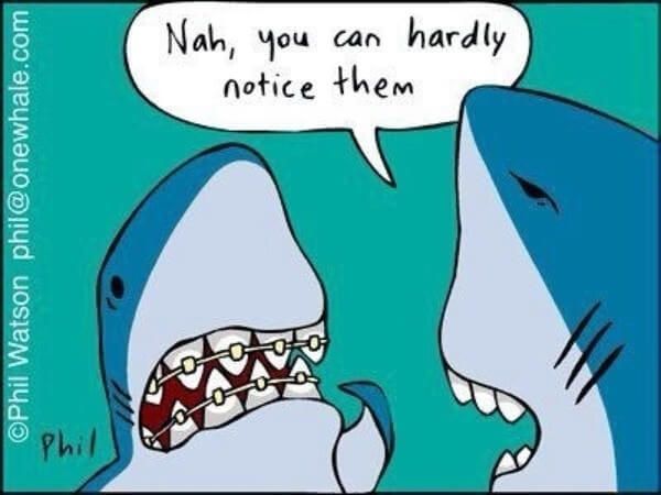 Stingrayvilla's tweet photo. Monday humor to start your week!π π
.
.
#airbnbcozumel #airbnbhost #islacozumel #cozumelmexico #cozumel #airbnbfun #airbnbphoto #airbnbtravel #airbnbmexico #airbnbsuperhost #airbnbhome #cozumeldiving #cozumelisland #teamboostly #scubamexico #scubacozumel https://t.co/w9RpkMNZk7