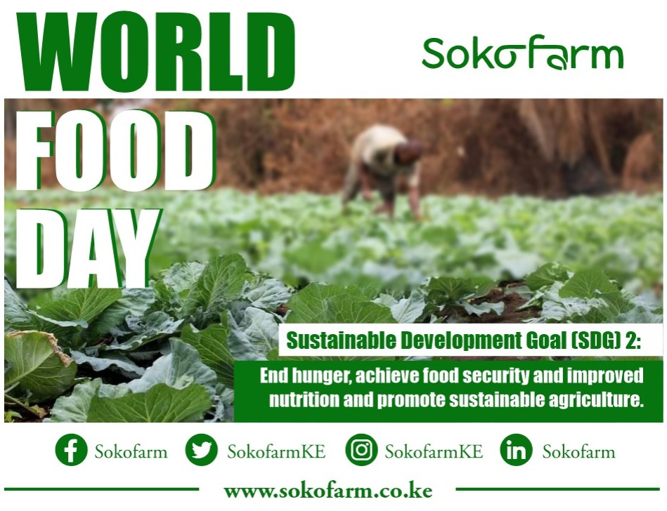 Today is World Food Day.
Water is life, water is food, save every drop so nobody is left behind.