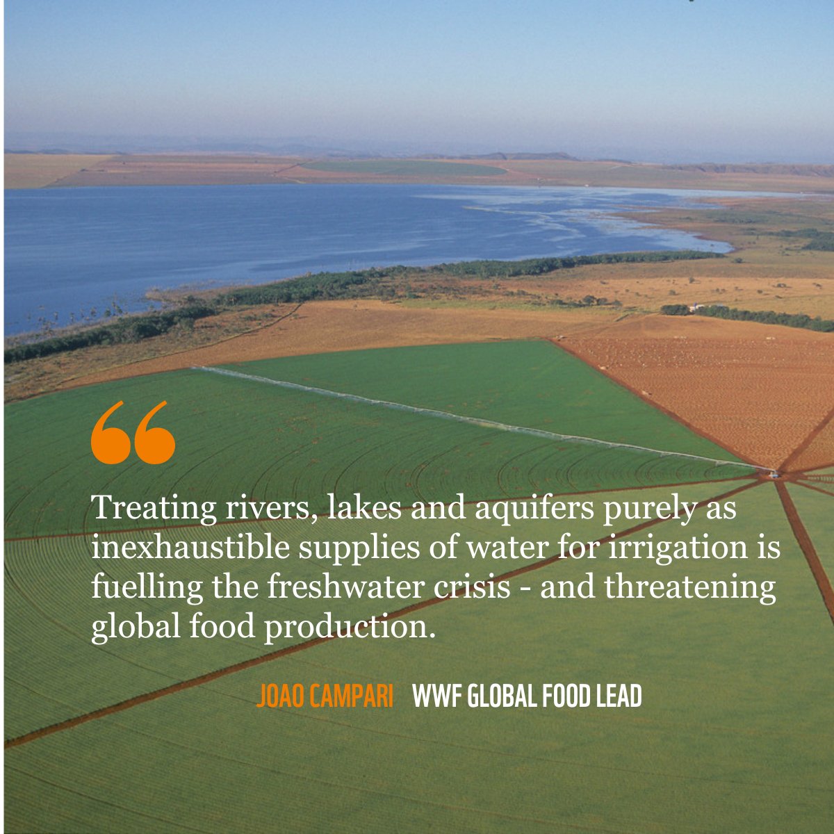 WWF_CongoBasin tweet media