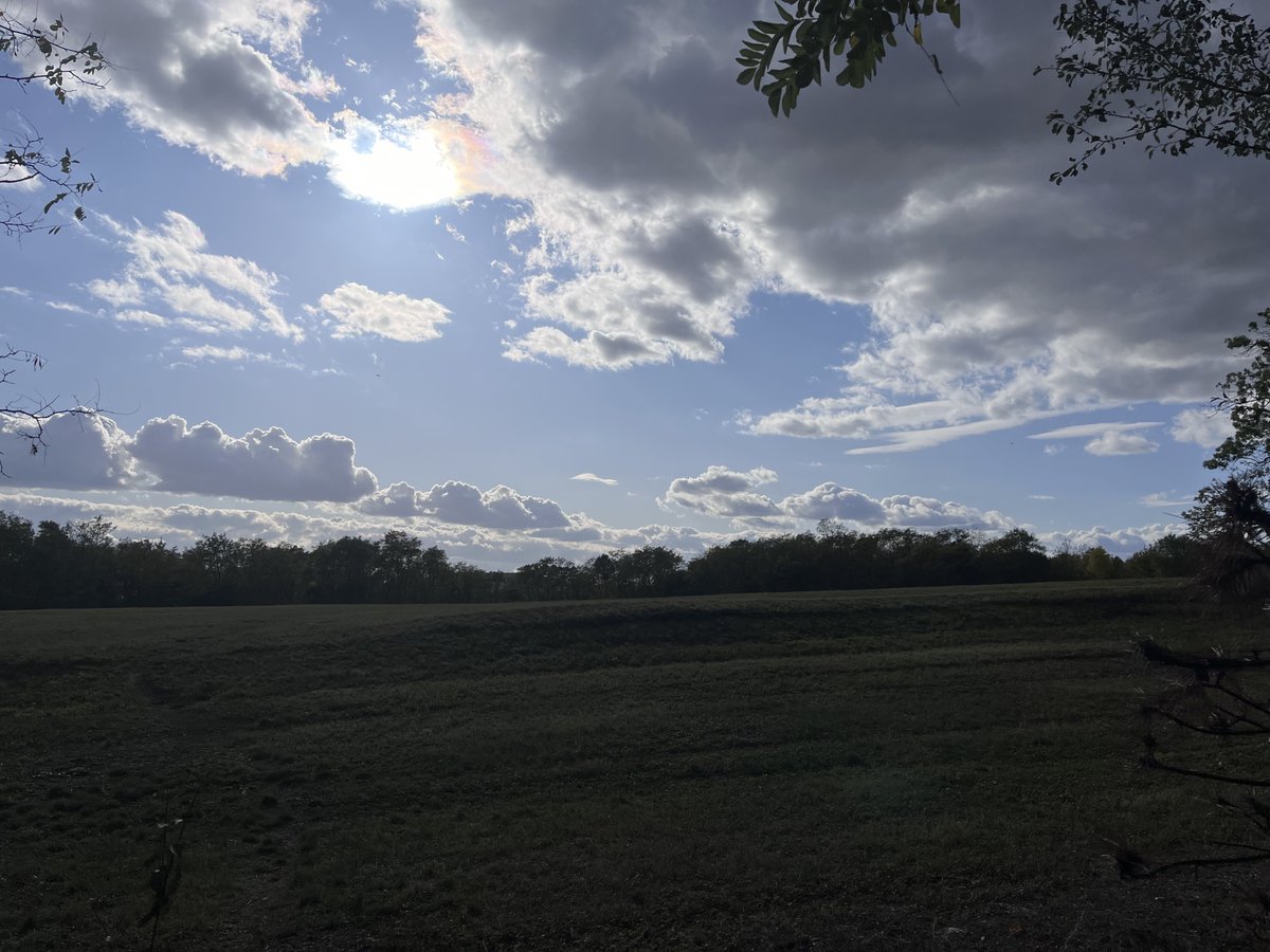 Michaela Valentová tweet media