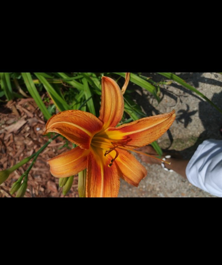 IAMJamena's tweet image. EVERy  
       STEP 
           YOU 
             TAKE
                     IS
                   1 STEP
                    CLOSER   
                       TO:  YOUr  GOAL(s)

       #MarkSetGO ❗
      #MOONdayMOOD 👣 🍃🍂. . . .