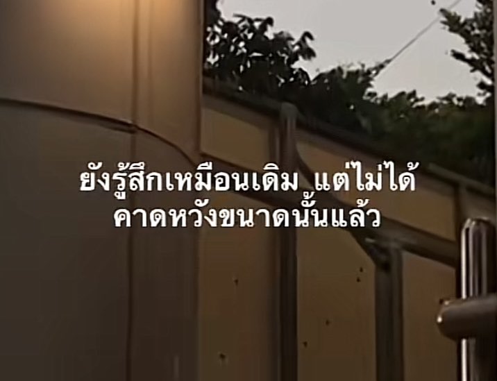 𝐦𝐢𝐧𝐞 tweet media