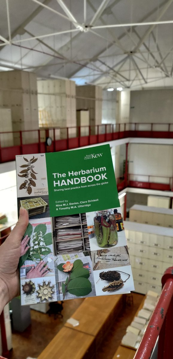 🌿 Out now - The Herbarium Handbook 🌿 which includes how to curate #herbarium specimens. Available at: shop.kew.org/kew-herbarium-… <a href="/claredrinkell/">Clare Drinkell</a> <a href="/timutteridge/">Dr Timothy Utteridge</a> @KewScience @KewAfrica @Kew_Asia @KewAmericas #herbarium #curator