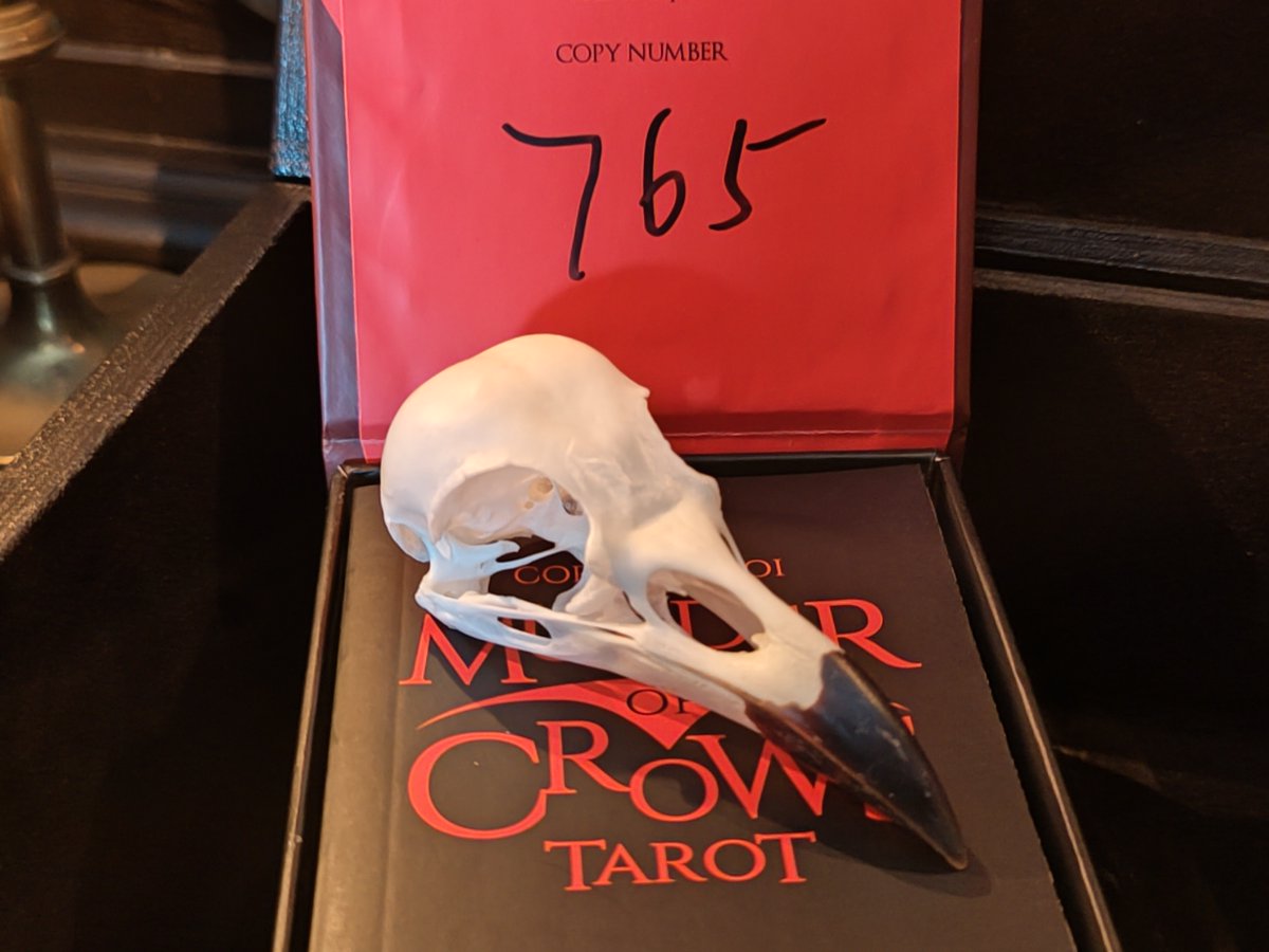 WickedVintageUK's tweet image. RARE LIMITED EDITION! #murderofcrowstarot deck in superb presentation box, copy no. 765 out of just 2999! Listing today... #crowtarot #murderofcrows #raretarot #limitededitiontarot #crowskull