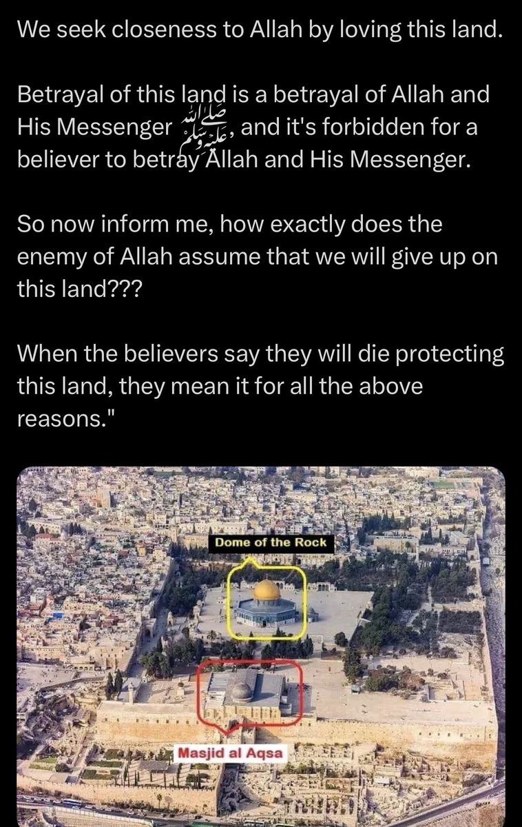 Sadia Chaudhry tweet media