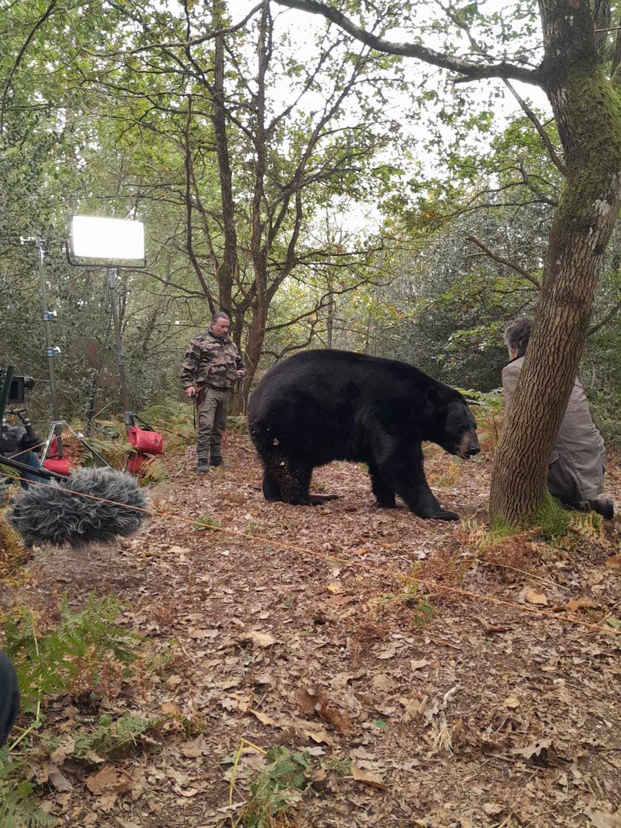 GroupeFiction's tweet photo. Début de tournage pour @CapricciFrance avec le court-métrage PETIT BRAS de Simon Hubert, avec au casting Mathieu Demy, Sara Giraudeau, Patrick D'Assumçao... et l'ours Valentin!!
@ALCA_NAquitaine  @NvelleAquitaine https://t.co/2lUJRpua6c