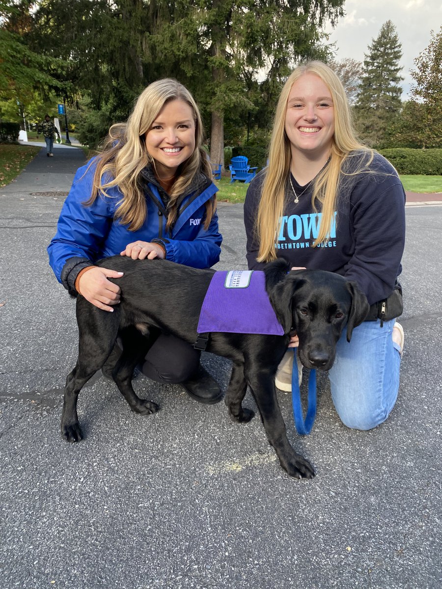 An <a href="/EtownCollege/">Elizabethtown College</a> student is raising a future <a href="/SSDOGS/">Susquehanna Service Dogs</a> on campus. In this week's #OntheBrightSide, see the impact black lab Farmer is already making on the E-Town community. 
Full story: fox43.com/article/life/e…