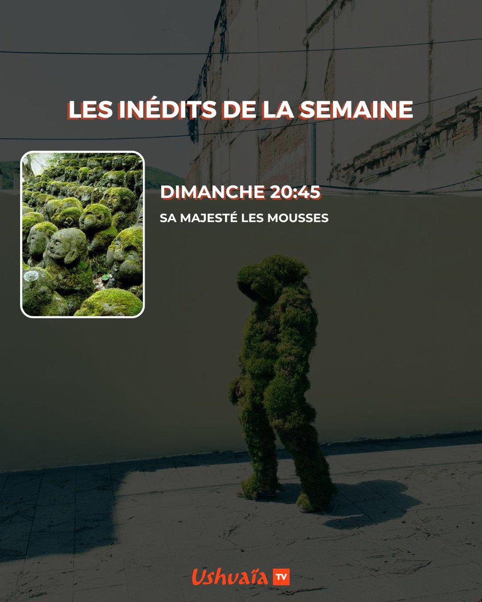Ushuaia_TV's tweet photo. Les rendez-vous à ne pas manquer cette semaine sur #UshuaiaTV ! 🌱

➡️ Lundi 20h45 #EnTerreFerme avec @Fanny_Agostini et @HeleneDarroze 
➡️ Samedi 20h45 @MilkedFilm
➡️ Dimanche 20h45 "Sa majesté les mousses" 

#alimentation #durable #nature https://t.co/tb1HWi3fLA
