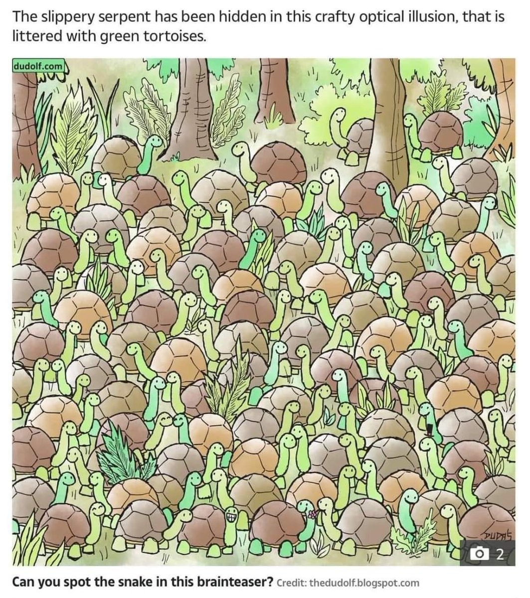 CartwrightBio's tweet image. Don't ruin it if you find it.  Just comment found or pm a screenshot.  😁