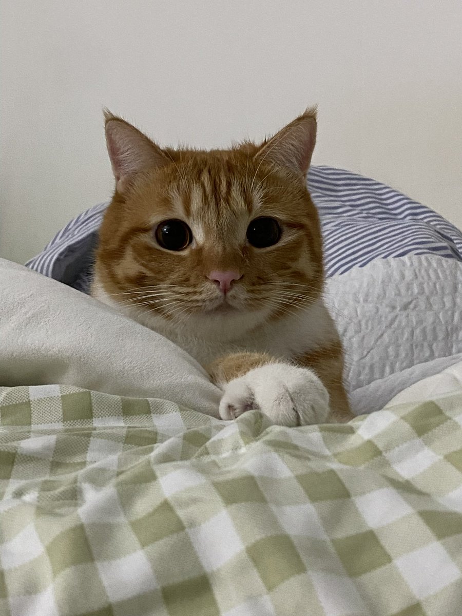 dongggeul's tweet photo. 2살 동그디 https://t.co/9qR48oQMqN
