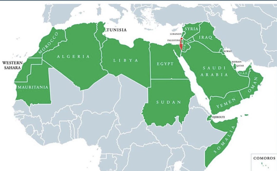22 pays arabes, un seul État juif.
1,9 millions d’Arabes en Israël (21% de la population), moins de 20 000 juifs dans l’ensemble des pays arabes.

A ceux qui veulent parler d’apartheid ou de nettoyage ethnique : demandez plutôt aux pays arabes où sont passés leurs juifs.