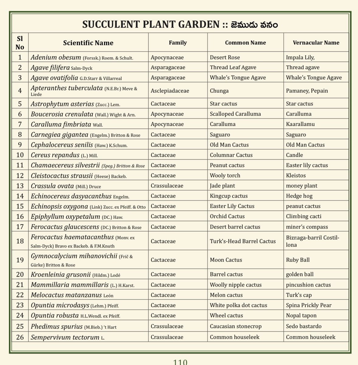 (45/75) SUCCULENT PLANT GARDEN 
<a href="/TSFDCL/">Telangana Forest Development Corporation Ltd</a>
<a href="/HarithaHaram/">Telangana Forest Dept.</a>
<a href="/FCRIHyderabad/">FCRI Hyd Telangana</a>
<a href="/TelanganaCMO/">Telangana CMO</a>
<a href="/PMOIndia/">PMO India</a>
<a href="/bsi_moefcc/">Botanical Survey of India</a>
<a href="/bgci/">Botanic Gardens Conservation International</a>
<a href="/UNBiodiversity/">UN Biodiversity</a>
<a href="/FAOclimate/">FAO Climate Change & Biodiversity</a>
<a href="/UNEP/">UN Environment Programme</a>
<a href="/RoyalBotanical/">Royal Botanical</a>
<a href="/IcfreIndia/">Indian Council of Forestry Research and Education</a>
<a href="/RoyalBotanical/">Royal Botanical</a>
<a href="/TreesforCities/">Trees for Cities</a>