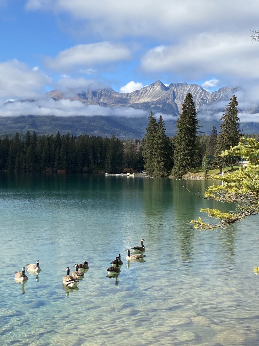 Le lac Beauvert a Jasper en Alberta