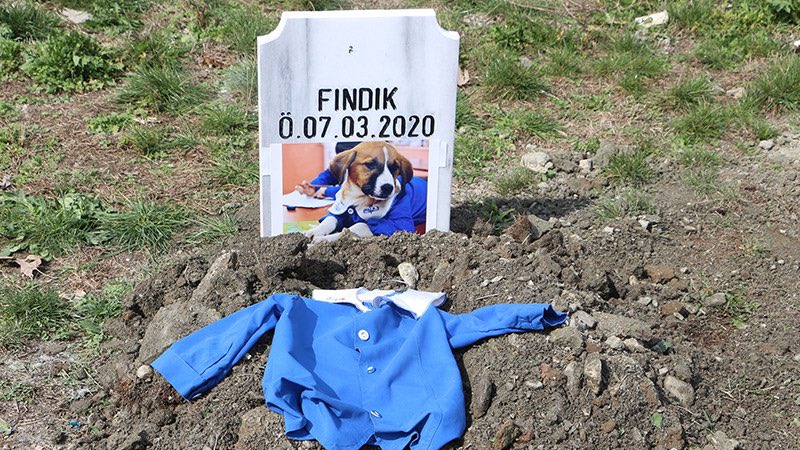 <a href="/TurkishArc/">Turkish Archives</a> Rip