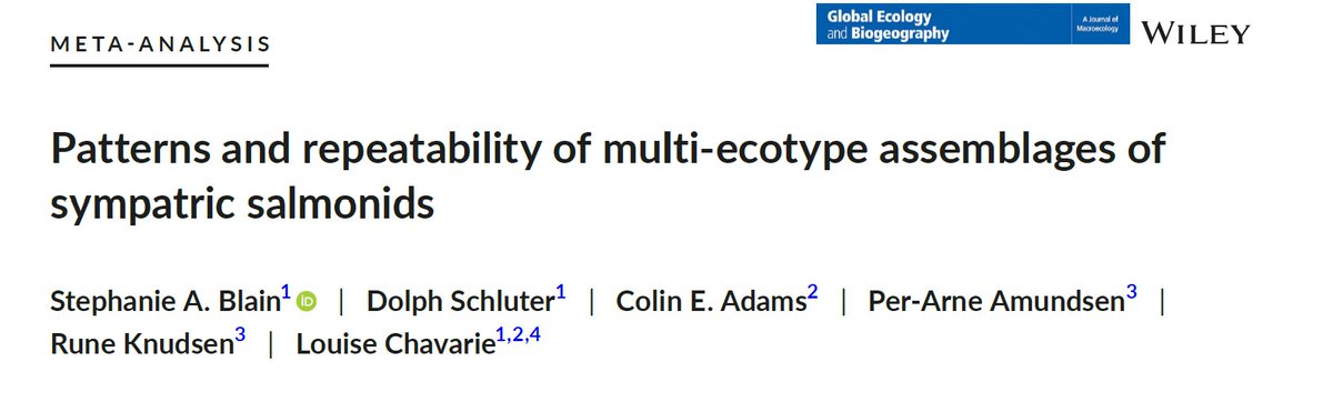 Does the emergence of intraspecific ecotypes in northern lake fish follow a common pattern? Well yes and no! Find out more in this meta-analysis paper led by @StephABlain onlinelibrary.wiley.com/doi/full/10.11… @DolphSchluter @louisechavarie @sceneUofG