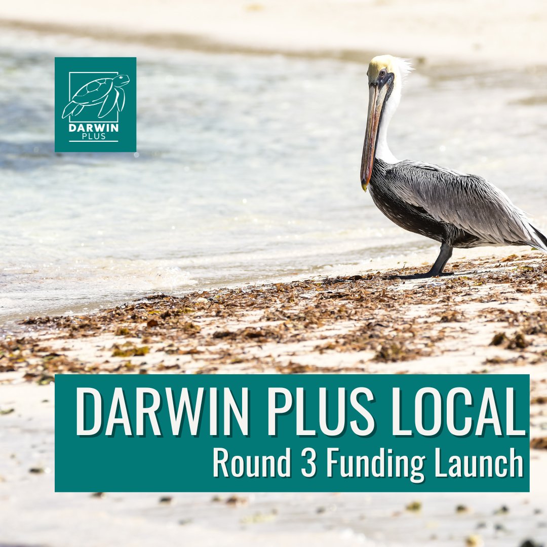 Funding Announcement📢 Round 3 of #DarwinPlus Local is now OPEN! Inviting applications for small environmental projects that help #BuildCapacity in the #UKOverseasTerritories 👆Application info: loom.ly/Qa7tqoM 🗓️Deadline: Weds 29 November via Flexi-Grant Good luck🐬