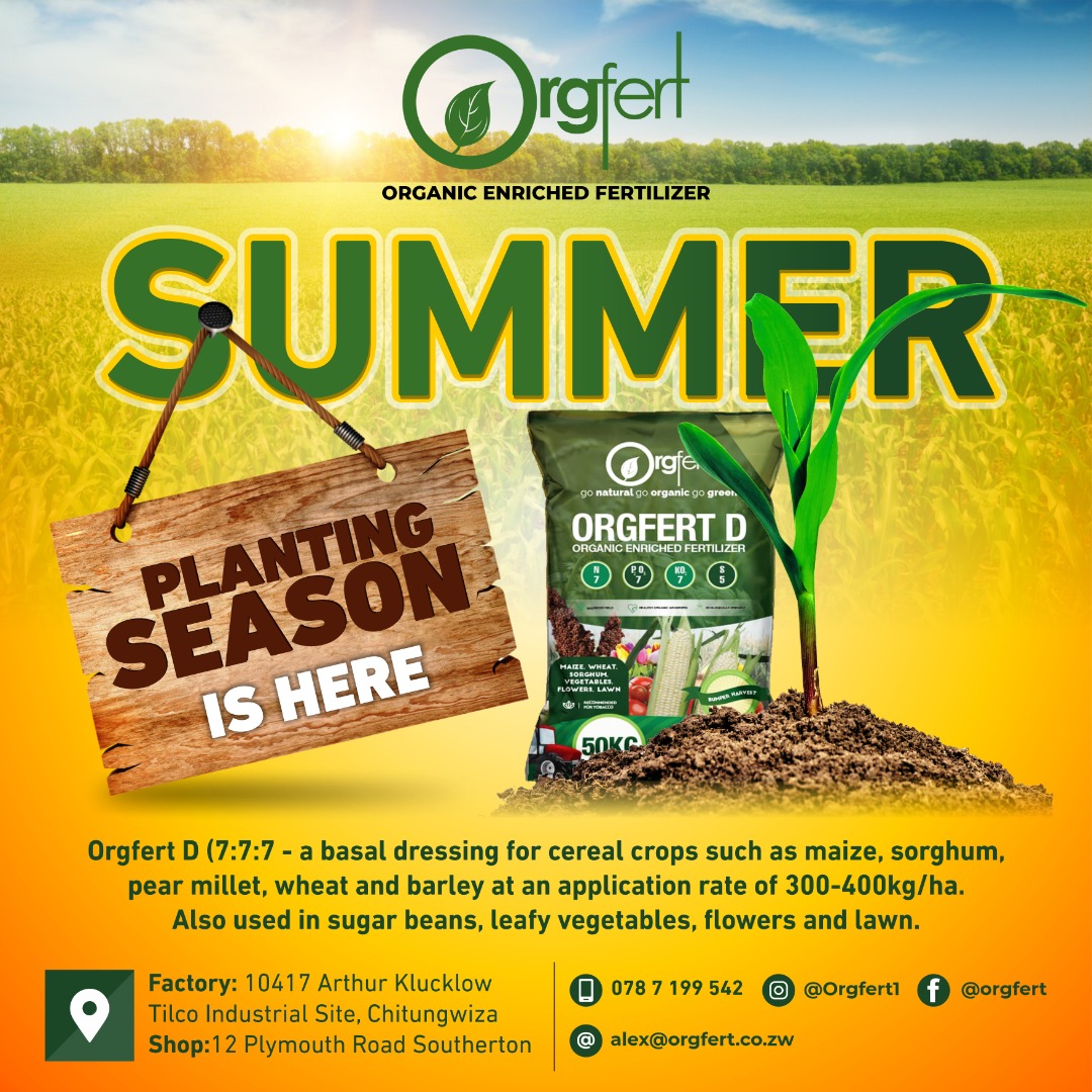 Orgfert1's tweet image. New Phone Numbers Alert!!
For the new upcoming season, we have two additional lines for your convenience. Contact our sales &amp;amp; marketing teams on the following:
Orgfert Head Office Sales - 0785672500
Orgfert Head Office Agronomy 0785684917
#kohwazvinodadisa 
#harvestwithpride