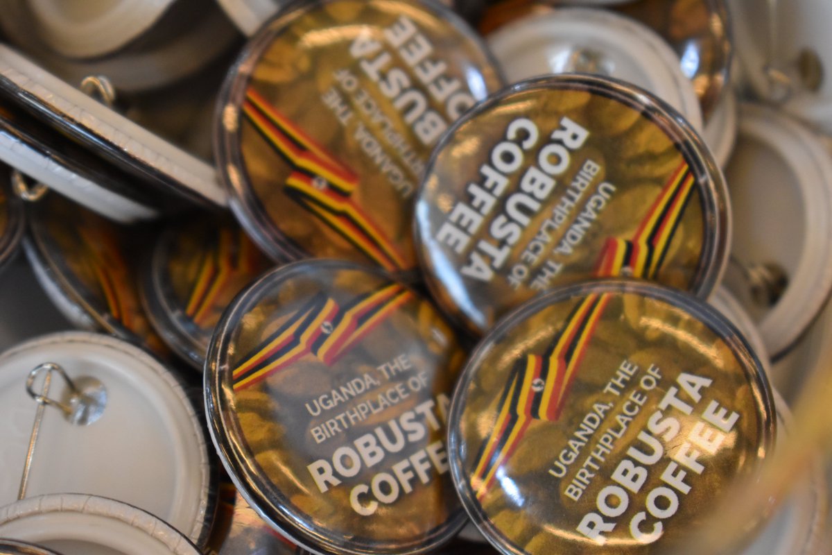 Uganda is the birthplace of Robusta &amp; producer of some of the world's best coffee. Demand for 🇺🇬☕️ is high &amp; farmers who adhere to quality from farm to cup earn more than their counterparts. 

In Sep 2023, Robusta earnings were US $ 88m &amp; we have the potential to double this.