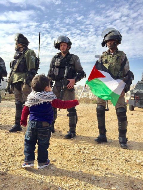 🇵🇸🤍