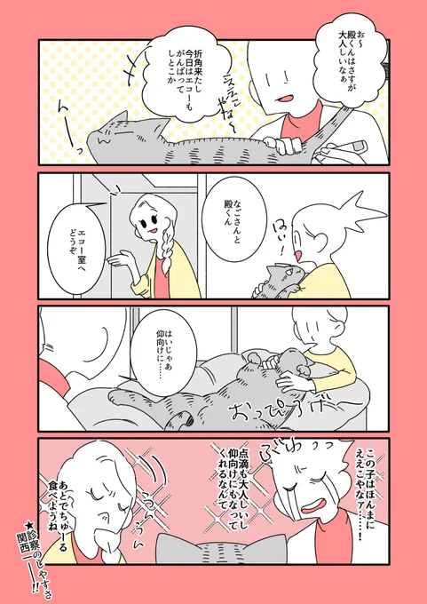 猫と先生と診察 
https://t.co/ZefsrQI729 