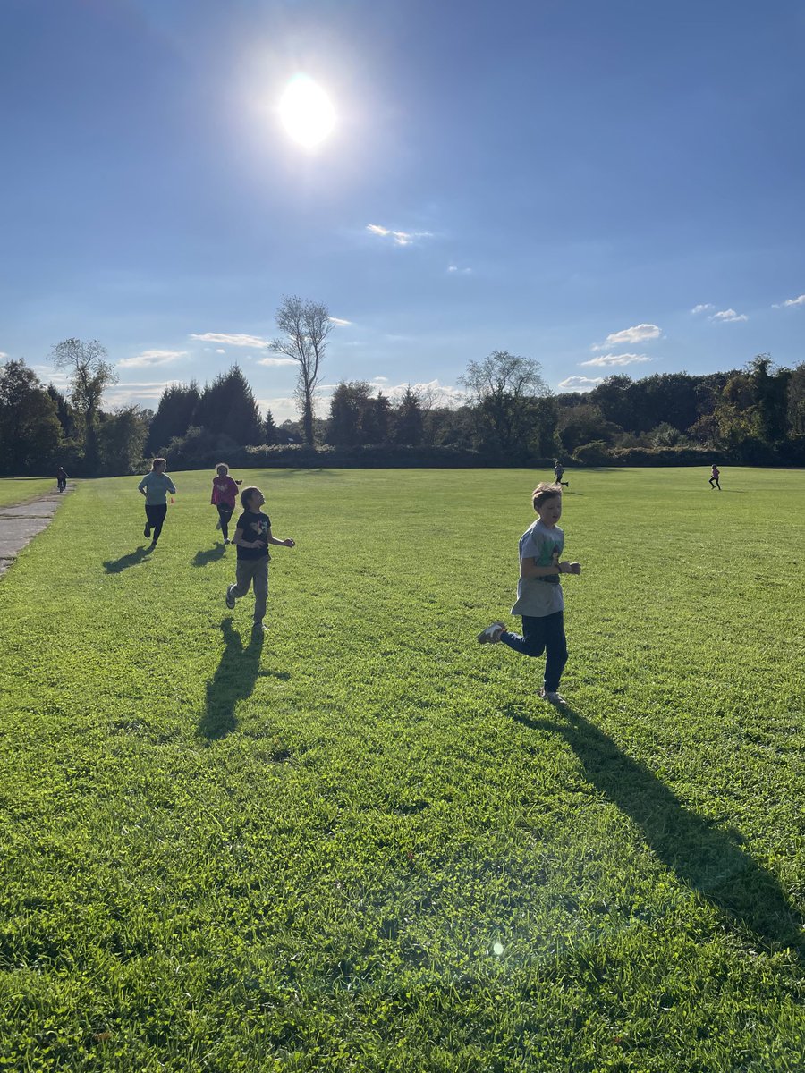 Tara Gentle 🌻 tweet media