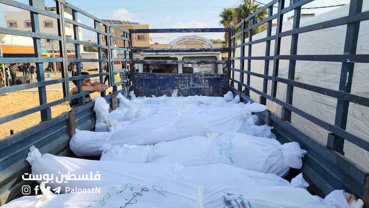 TIMES OF GAZA tweet media