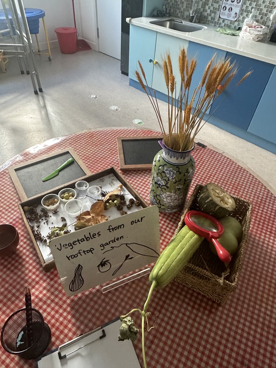 jackie_becher's tweet photo. The ⁦@BCISonline⁩ ECC roof top garden provides so many opportunities for our children to look closely, slow down, name and notice. #eylf #ibpyp https://t.co/aoFG0l49gQ
