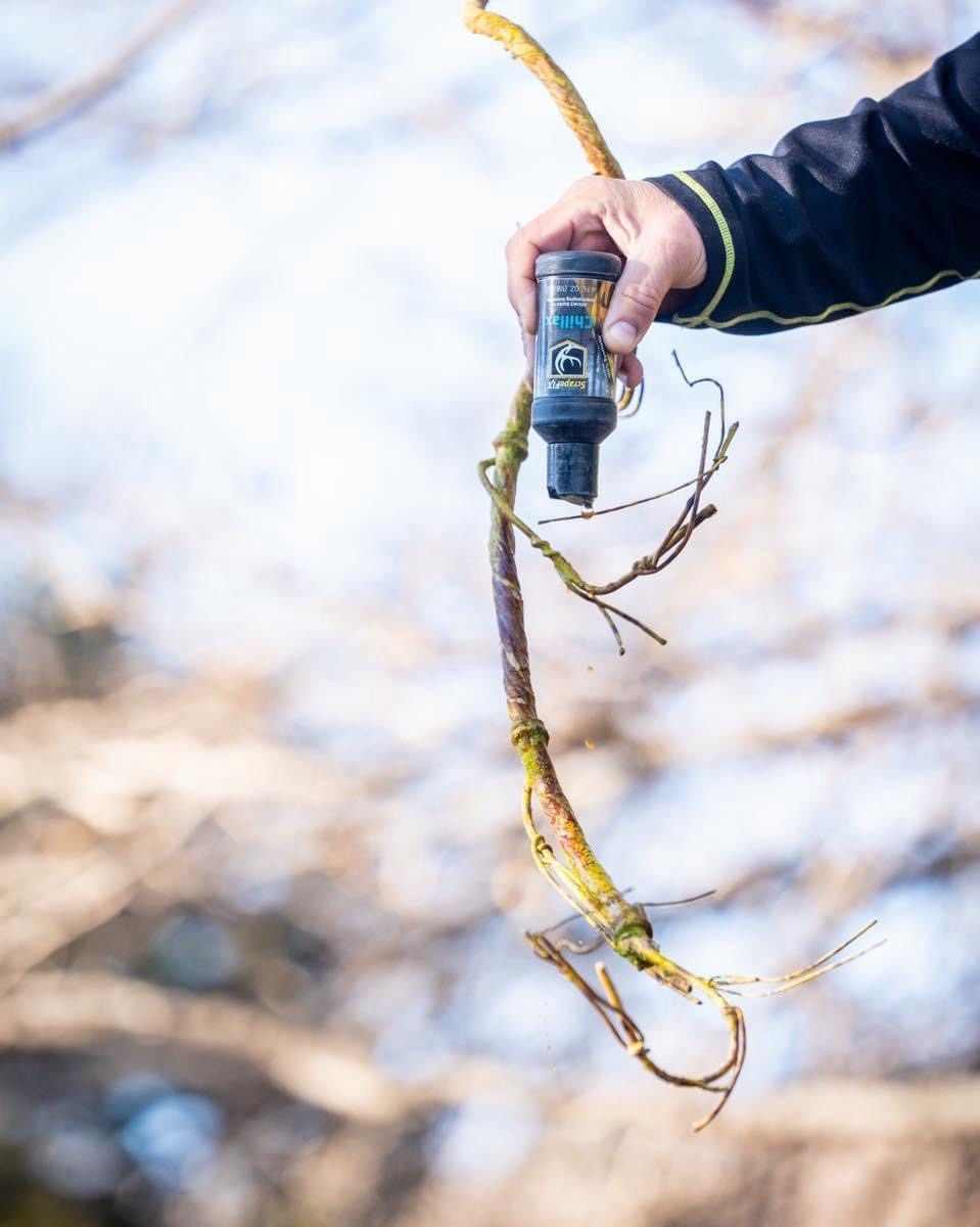 scrape_fix's tweet photo. Create your own licking branch anywhere with 𝐓𝐡𝐞𝐕𝐢𝐧𝐞.

#ScrapeFix #WatchItWork #TheVine #MockScrape https://t.co/V4tt0ti2Ta