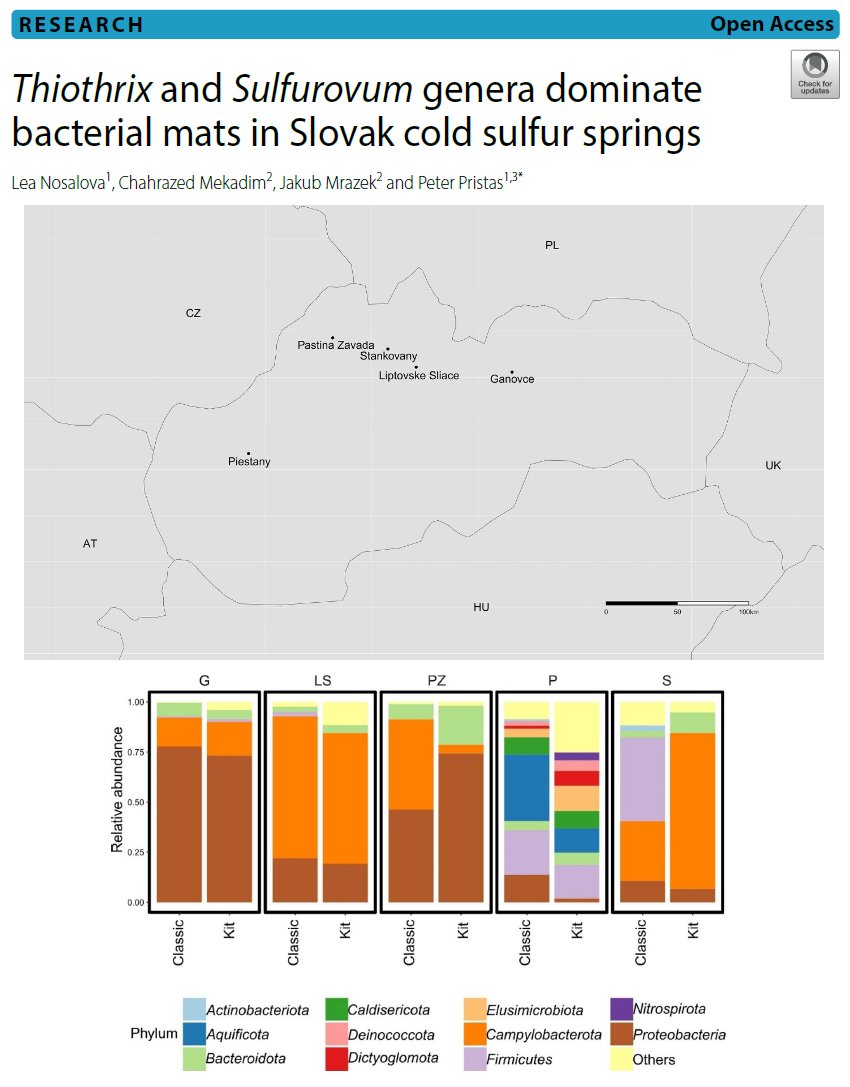 Unveiling Slovakia's diverse sulfur springs' microbial life! Our study highlights the unique cold sulfur springs' microbiota diversity, confirming the importance of the Gammaproteobacteria and Campylobacteria classes🦠🧫