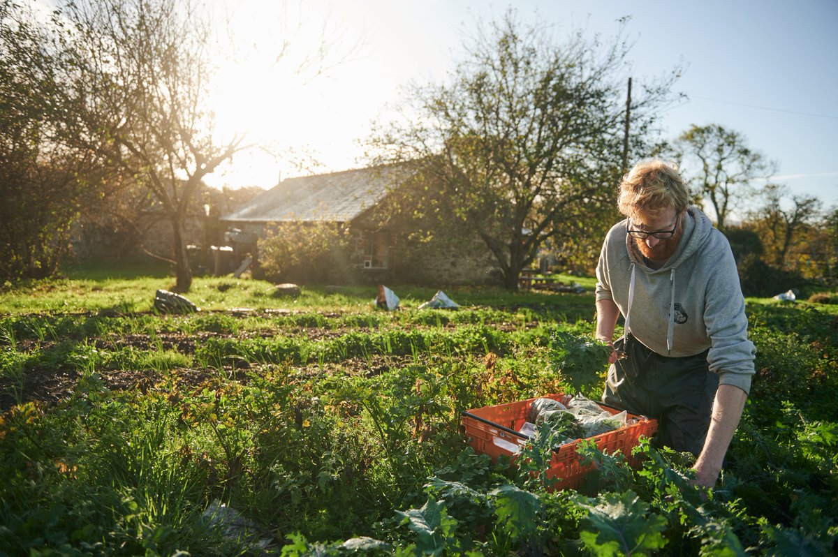 For #WorldFoodDay, <a href="/WWFCymru/">WWF Cymru 🌏</a>'s Alexander Phillips has responded to our report: How could Wales feed itself by 2035?

He looks at challenges and opportunities for Welsh farmers and policy makers in delivering a fair and nature-rich net zero pathway

READ🔗bit.ly/WWFWCPP