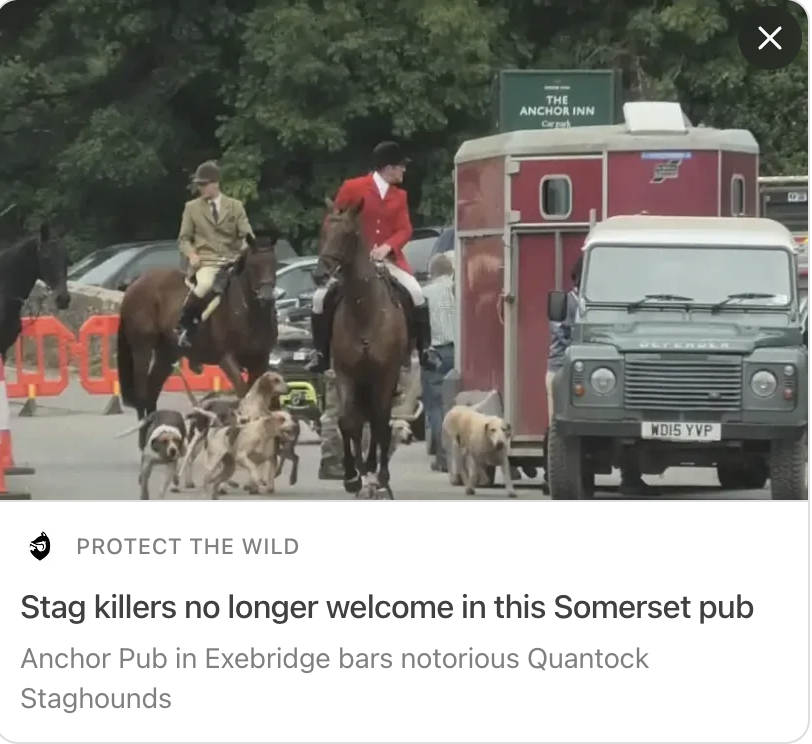 ProtectTheWild_'s tweet photo. Give this a big RT if you support the decision by the Anchor Inn in Exebridge to no longer host the Quantock Staghounds. 

The more businesses that turn their backs on hunting the better! https://t.co/wlOLT1iZCn