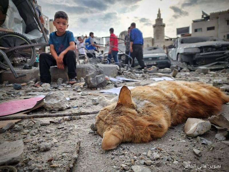 JeSuisCharlie9's tweet photo. Dear Muslims! 
Stop ! Think ! 
Reflect on what leaderships in #Islamic States have done for its own peoples
What has #Hamas done for #Gaza?
Mullahs for #Iran ?
ISIS for #Iraq ?
Taliban for #Afghanistan?
Assad for #Syria?
Junta for #Pakistan 
List is long.
When will you WAKE UP ? https://t.co/YlxVDhiZek