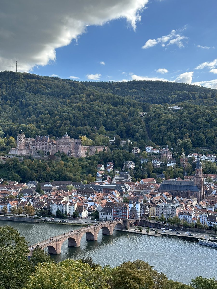 HJones___'s tweet photo. So it’s “Auf Wiedersehen” to the @EMBLEvents @EMBLHeidelberg Non-Coding Genome conference! It was great to present my poster on my PhD project and I received some really interesting feedback. I can’t wait for the next one already! 🧬  #EESNoncoding https://t.co/asjP4NaQYI