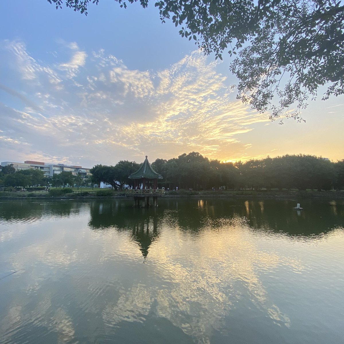 An afternoon snapshot of my favourite place in the campus of National Taiwan University.
#DrunkenMoonLake
#MentalHealthMatters