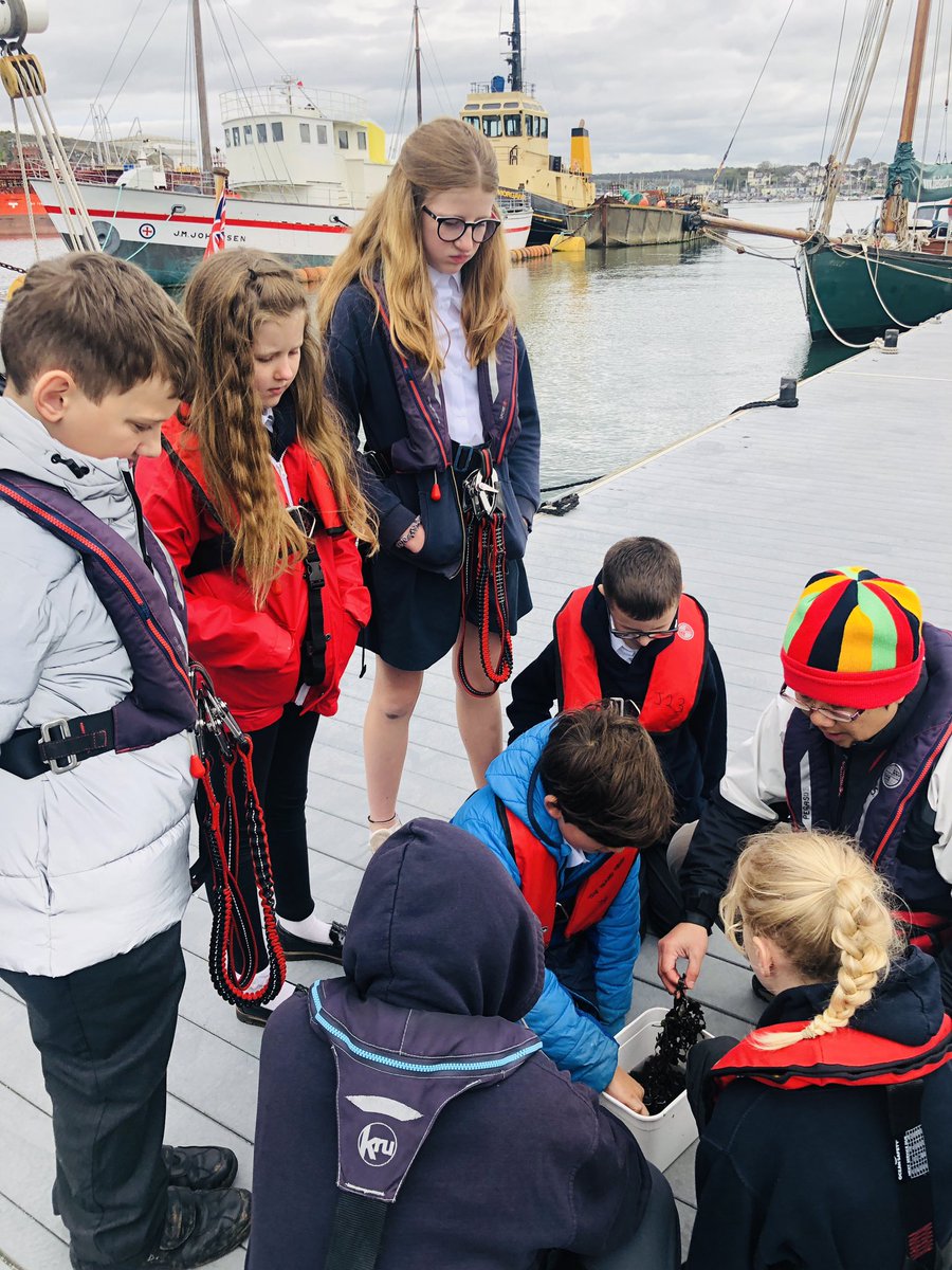 StGeorgesPlym's tweet photo. Tamar class are taking part in a ‘life on the ocean wave’ experience with the @IslandTrust. So far we have been trawling for plankton and investigating using microscopes https://t.co/tKBYUeoJ7L