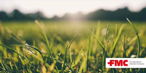 FMCAgroUK's tweet photo. Simon Francis, FMC technical manager, highlights the challenge of annual weeds like chickweed smothering clover leys 🍀🍀

Tackling them with a ‘clover-safe’ herbicide in the autumn can set your crop up for success 

Read more here 👉🏻 https://t.co/5pMf6VsTHx 

#CloverLeys #UKFarming
