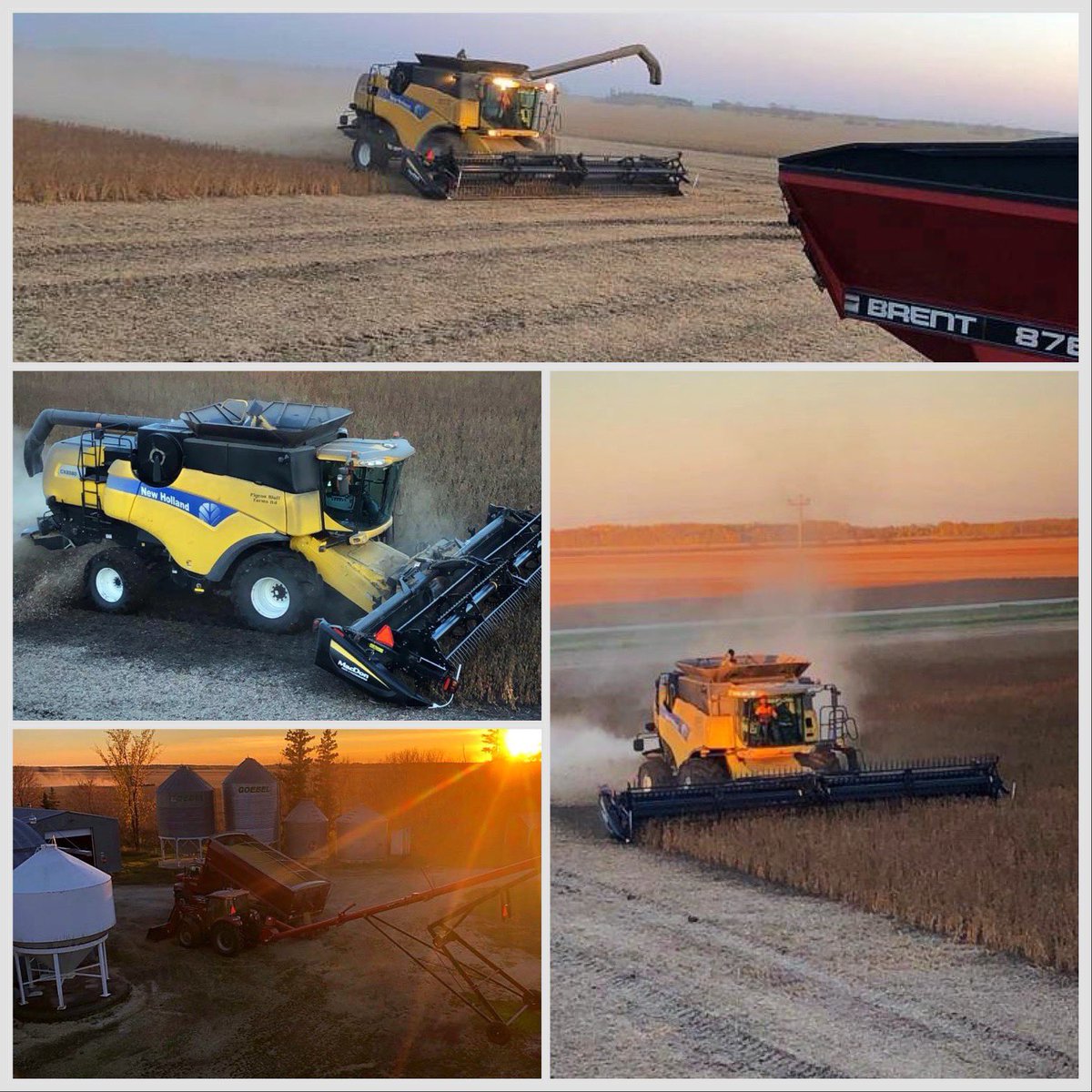 baleboyzN's tweet photo. Soybean Harvest!  3 Hails Storms and Yielding Beyond Expectations!!! Love These Beans!!! #merino #prograin  @Prograin_West @Prograin_inc @rempel_shawn https://t.co/Xg8P9OpJk3