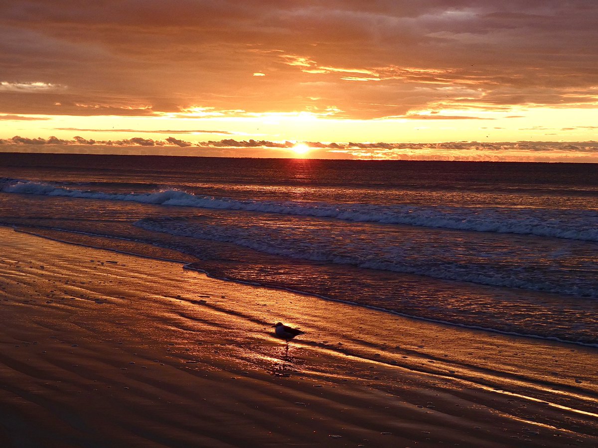 MMoore_hoops's tweet photo. Good morning! #SunsetBeach @EdPiotrowski @medwick @ChrissyKohler @WXIIJackie @Em_I_Am @jamiearnoldWMBF @LeeHaywoodWX @clairefrywx @marioncaldwx @EllaTanseyWECT @StarboardRail @StormHour @ThePhotoHour @Christina4casts @CMorganWX @AndrewWMBF @AlexCorderoWX @ScottyPowellWX https://t.co/r4Udw3peCj