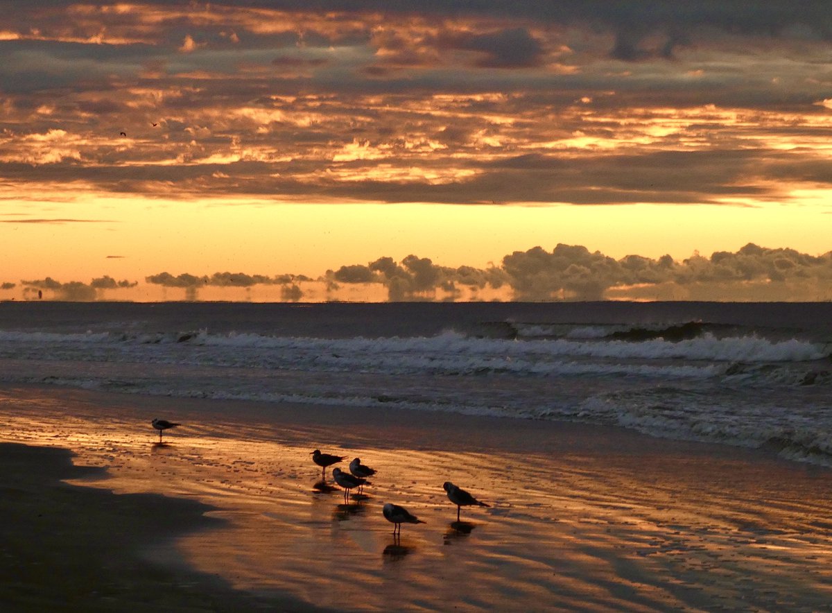MMoore_hoops's tweet photo. Good morning! #SunsetBeach @EdPiotrowski @medwick @ChrissyKohler @WXIIJackie @Em_I_Am @jamiearnoldWMBF @LeeHaywoodWX @clairefrywx @marioncaldwx @EllaTanseyWECT @StarboardRail @StormHour @ThePhotoHour @Christina4casts @CMorganWX @AndrewWMBF @AlexCorderoWX @ScottyPowellWX https://t.co/r4Udw3peCj