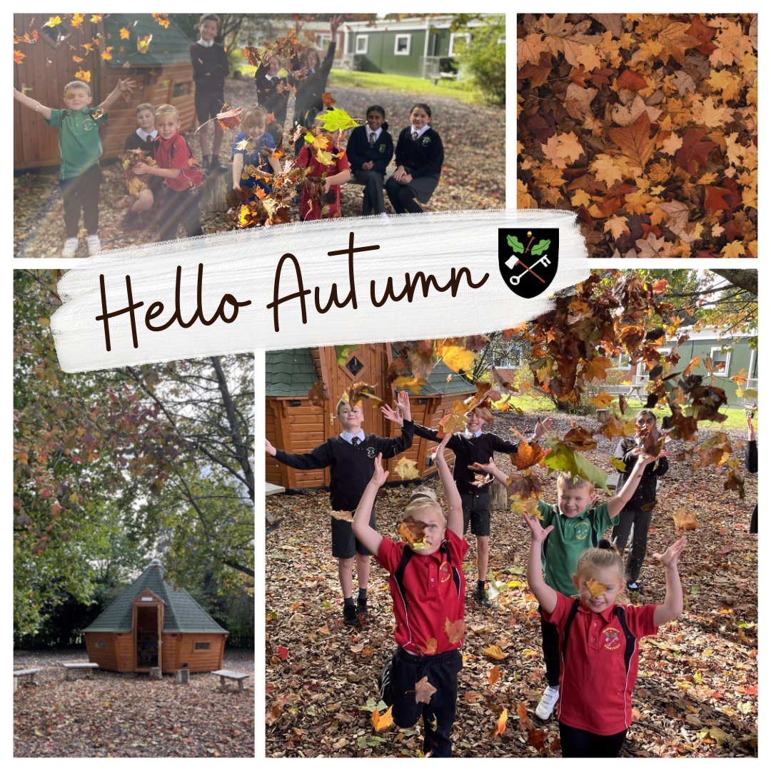 Woodmansternesy's tweet photo. Autumn has arrived at WPS! There is a crisp chill in the air and the golden leaves of autumn have fallen around our beautiful Woodland Library. #AutumnArrival #FallingLeaves #AutumnInspiration https://t.co/AWDnKUllOx
