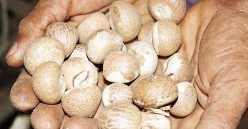 daijiworldnews's tweet photo. Puttur: Arecanut growers withhold produce as prices plummet
https://t.co/Cd5A4l3Msr.
#puttur #arecanut #plut #plummet #daijiworld #daijiworld247 #daijiworldnews #daijiworldnews247 #TodayNews #KannadaNews https://t.co/syooAau9aD