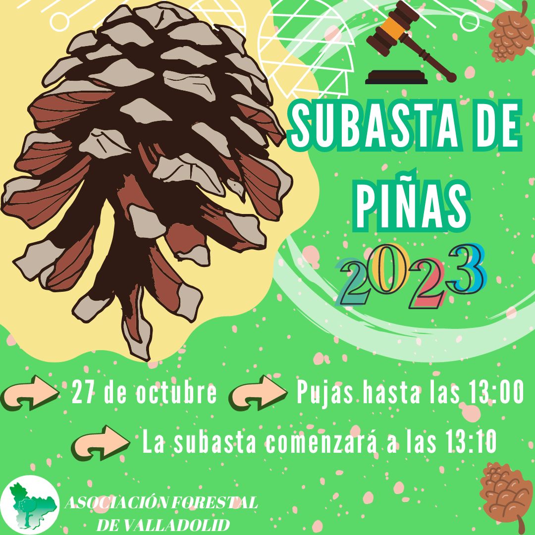 Asociación Forestal de Valladolid (@asfova) on Twitter photo 🌳 ASFOVA organiza su subasta de piñas 2023 este viernes, 27 de octubre
🌳 Los interesados podrán pujar hasta las 13:00
🌳 La subasta comenzará a las 13:10
Contacta con ASFOVA para más información:
asfova@gmail.com
983 33 42 94
#subastas #piñas <a href="/fafcyle/">FAFCYLE</a> <a href="/Selvicultores/">Selvicultores</a> 🌳 ASFOVA organiza su subasta de piñas 2023 este viernes, 27 de octubre
🌳 Los interesados podrán pujar hasta las 13:00
🌳 La subasta comenzará a las 13:10
Contacta con ASFOVA para más información:
asfova@gmail.com
983 33 42 94
#subastas #piñas <a href="/fafcyle/">FAFCYLE</a> <a href="/Selvicultores/">Selvicultores</a>