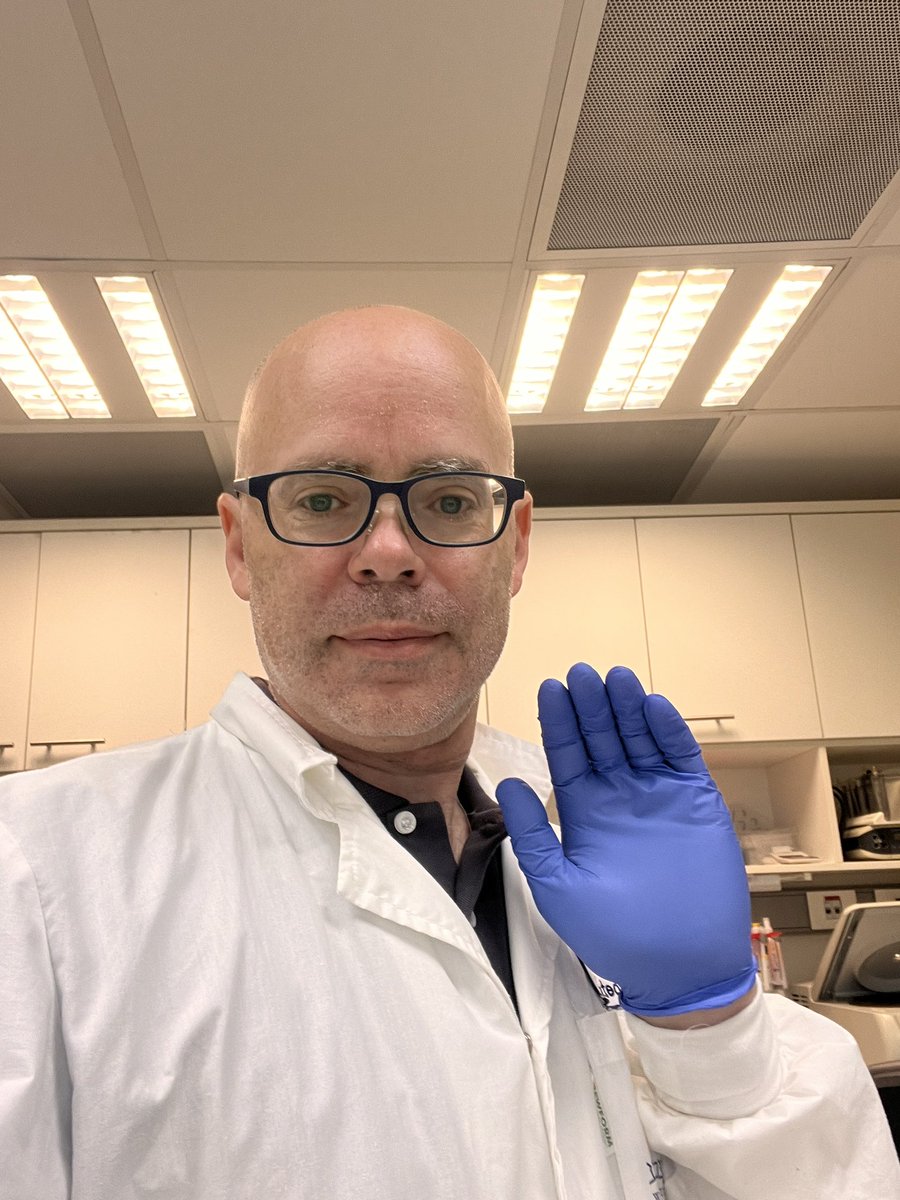 YishaiLevin's tweet photo. When a third of the lab was enlisted to the military (guarding our borders from evil) and the rest are at home watching over the kids, I open my lab notebook (last entry was 11 years ago 😯), pick up the pippets and get to work 💪 https://t.co/zkqPLHFwYE