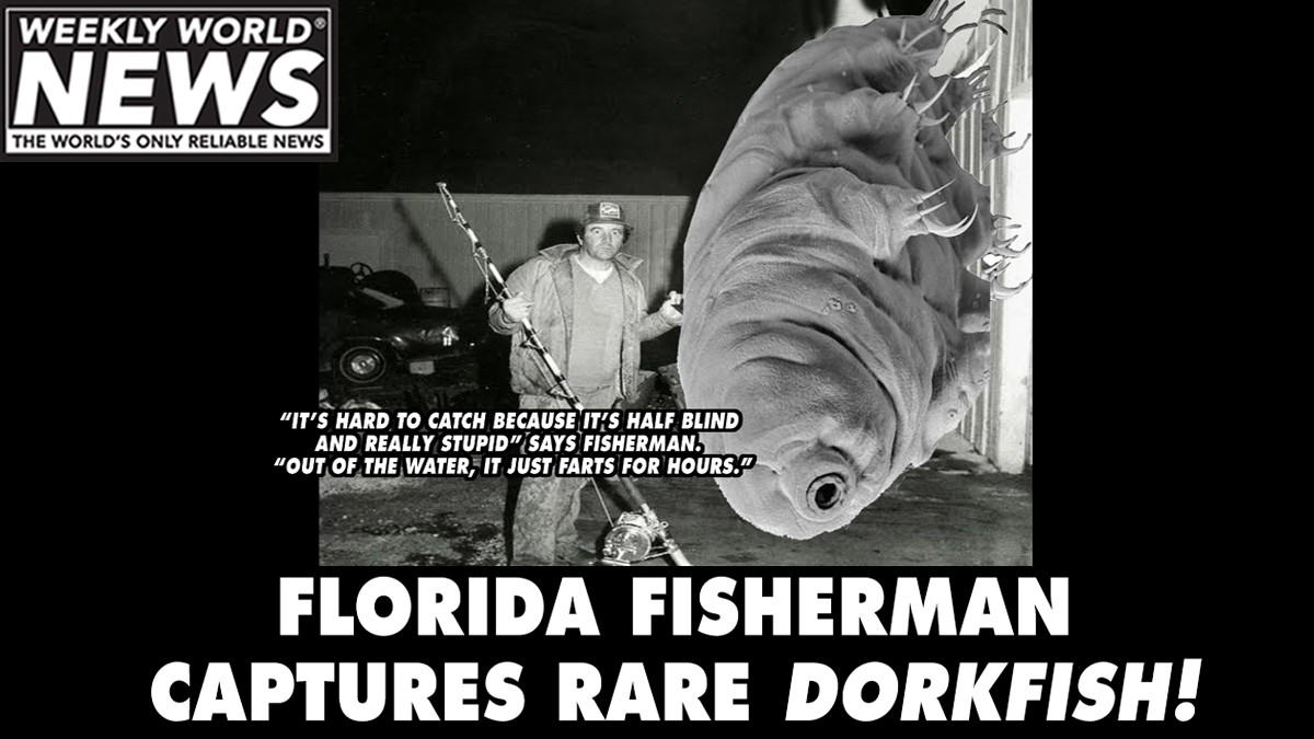 Lucky catch?!  Big fish sometimes have some big gut issues.

#dorkfish #floridaman #catch #bigcatch #fishing #farts #fishing