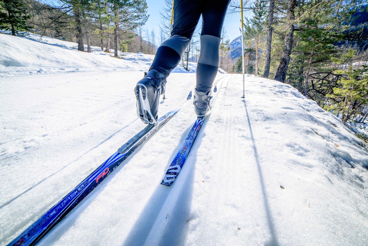 PITER ALPIMED tweet media