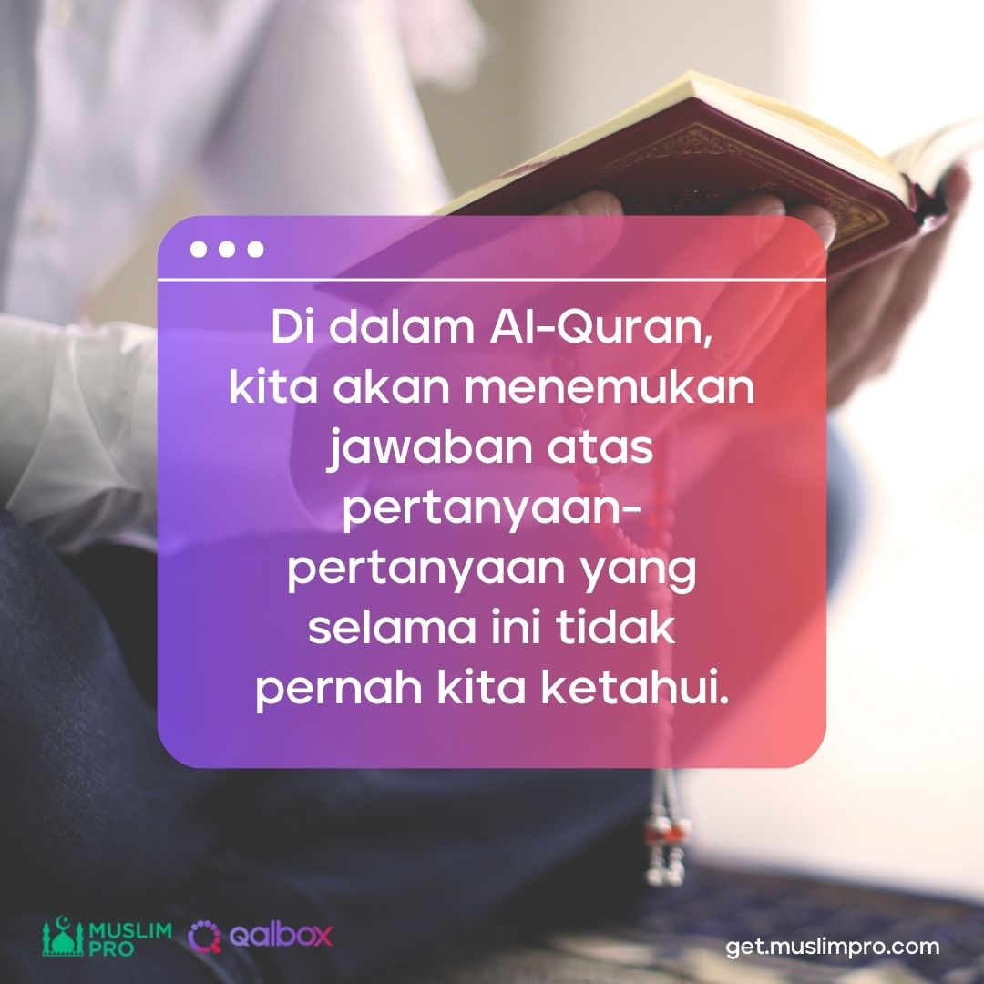 Temukan firman Allah dalam Al-Quran yang mengungkap misteri pertanyaan yang bahkan tidak pernah kita ketahui sebelumnya. 📚💫 #muslimpro #qalbox #alquran #katamutiara #motivasiislami